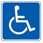 Handicap Vehicle Display